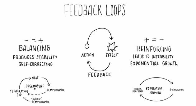 Feedback loops